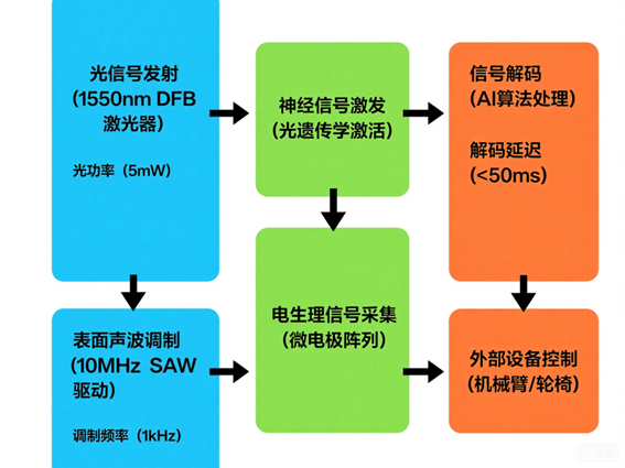 腦機接口光開(kāi)關(guān)神經(jīng)調控系統工作流程圖
