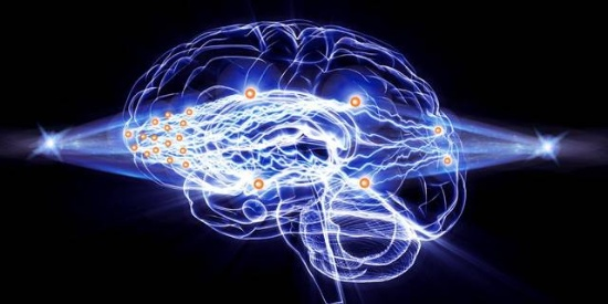 光腦神經(jīng)元網(wǎng)絡(luò )層級連接示意圖