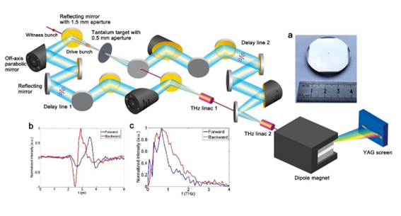 太赫茲光開(kāi)關(guān)非侵入式醫療檢測示意圖