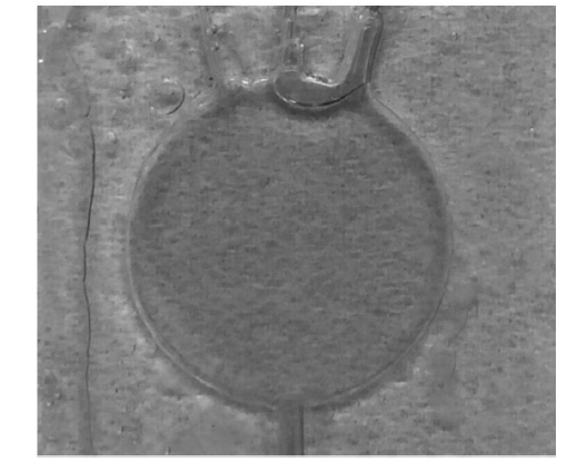 微流控光開(kāi)關(guān)在實(shí)際應用中的效果，包括不同流速下的遮光形態(tài)及透光/遮光對比  - 廣西科毅光通信