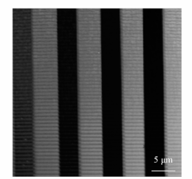 不同離子劑量刻蝕后側壁的AFM形貌圖 - 廣西科毅光通信 不同離子劑量刻蝕后側壁的AFM形貌圖 - 廣西科毅光通信